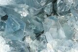 Blue Celestine (Celestite) Crystal Cluster - Large Crystals #234353-1
